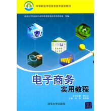 電子商務實用教程 信息技術與戰(zhàn)略實務的中職生指南